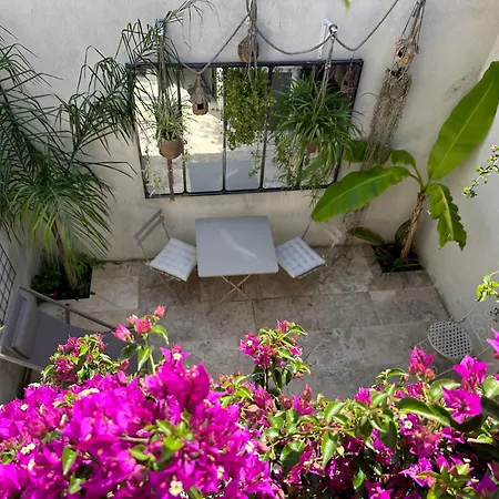 Appartements 3 étoiles terrasse ou patio intra-muros Aigues-Mortes Esterno foto