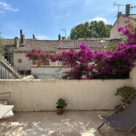 Appartements 3 étoiles terrasse ou patio intra-muros Aigues-Mortes Esterno foto