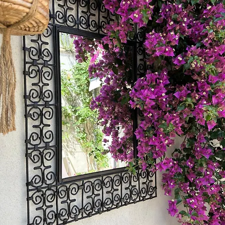 Appartements 3 étoiles terrasse ou patio intra-muros Aigues-Mortes Esterno foto
