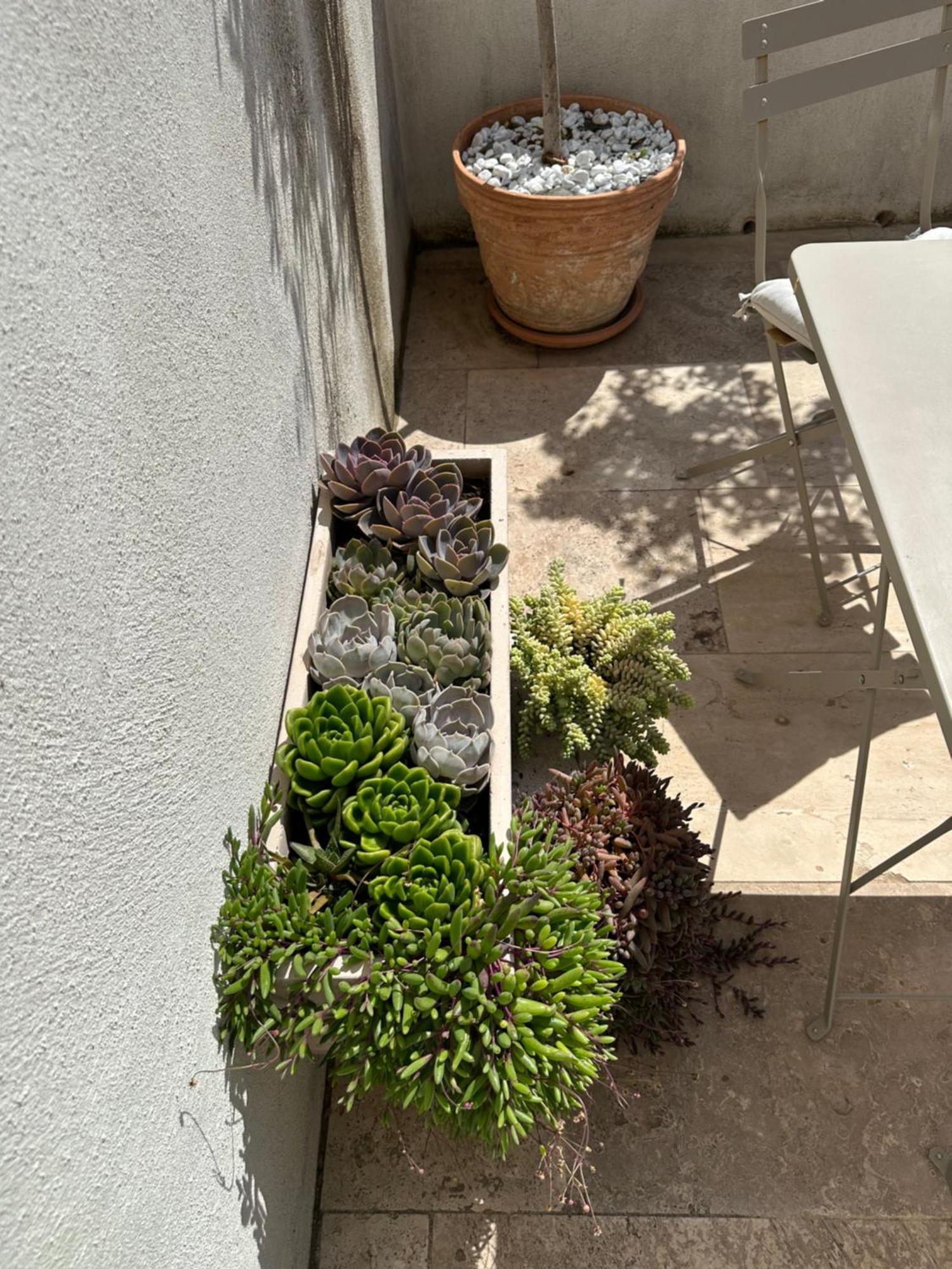 3 Etoiles Terrasse Ou Patio Intra-muros * Aigues-Mortes